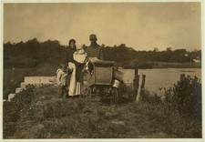 Falmouth Massachusetts Swift's Bog 1911 Berry Pickers Family Baby Carriage picture