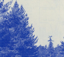 1983, Hartwick Pines State Park & Logging Museums Brochure Grayling Michigan picture