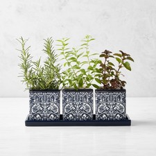 Morris & Co. x Williams Sonoma Bluebell Herb Planter Set - NEW in Box picture