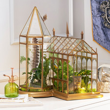 Pottery Barn Harry Potter™ Great Hall Terrarium picture