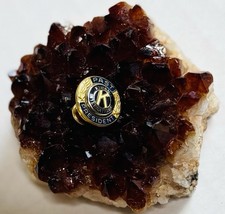 Vintage Kiwanis International - Past President Award Lapel Pin picture
