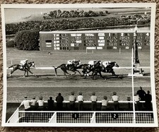 Vtg 1960's Original B&W Photo Hollywood Park Horse Race Track Inglewood CA 8x10 picture