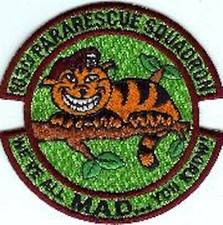 USAF AIR FORCE 103RD PARARESCUE SQUADRON GREEN EMBROIDERED JACKET PATCH picture