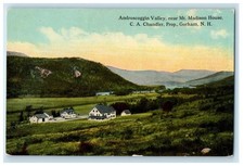 c1910's Androscoggin Valley Near Mt. Madison House Gorham NH Antique Postcard picture