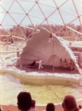 Orig 1963 Slide Miami Seaquarium Miami Zoo Florida Vintage Attraction H122 picture