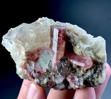 522 Carat Pink Tourmaline Crystal With Quartz Specimen From Afghanistan  picture