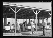 Photo:Westley California FSA Migratory Workers Laundry Camp 1939 picture