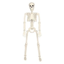 Halloween Movable Skeleton Fake Human Skull Bone Decor Haunted House Props 40cm picture
