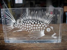 COOL MCM Intaglio Acrylic Lucite 