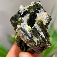 59G Natural green tourmaline quartz crystal cluster mineral specimen picture