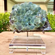 6.28LB  Clear Glassy stepped Green Fluorite crystal on Quartz Fujian China picture