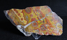 Morgan Hill Poppy Jasper Thick Slab Collector Lapidary Specimen California picture