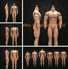 1/6 Muscular Male Action Figure Body BD001-6 for 12