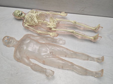 Anatomical Model Exploring the Human Body 2009 DE AGOSTINI DeAgostini Skeleton picture