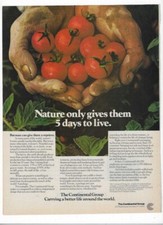 1977 Continental Group Vintage Print Advertisement For Packaging & Supplies picture