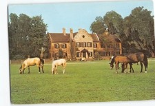 Middleton Place Charleston South Carolina USA G-77351 picture
