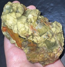9.6 oz Oregon Brecciated Jasper Rough - Malheur County  picture