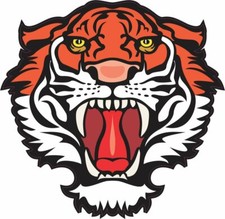 4.5inx4.5in Tiger Head Mascot Bumper Sticker Decal Window Stickers Decals picture