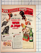 1951 Canada Dry Win A Pup Contest Magazine Ad Vintage Dogs Ginger Ale Ephemera picture