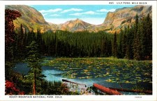 1941 Rocky Mountain National Park Lily Pond Wild Basin Colorado Postcard picture