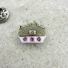 Vintage 1/10 10k Gold Country Pride 15 Year Commemorative Pin Badge 3 Rubies picture