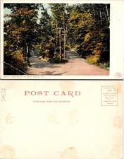 Dublin, NH View Of Parting Ways Dirt Pathway Natural Scenery Postcard 59532 picture