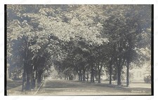 Oxford Ohio Church Street Standard Postcard COPY RPPC picture