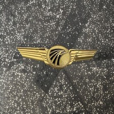 Egyptair Captain  Wings picture