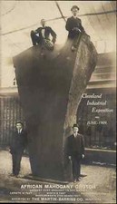 Cleveland OH Superlative Industrial Exposition African Mahogany Tree c1909 RPPC picture