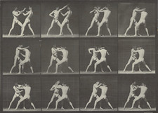 Locomotion by  Eadweard J. Muybridge (American, born England, 1830 - 1904) picture