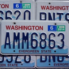 WASHINGTON LICENSE PLATES - EVERGREEN STATE Embossed Graphic License Plate Tags picture