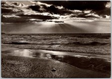 Sunset Over the Baltic Sea Shore C.1950s Sepia Tone Antique Postcard picture