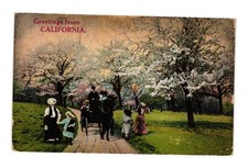 1908 Greetings California Vintage Postcard Horse Drawn Carriage Spring Blossoms picture