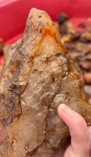 5LB Giant Raw PNW Fortification Agate Huge Quartz Filled Specimen Rock Lapidary picture