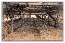 MONTICELLO Missouri RPPC ~ Cedar Bluffs Ginseng Garden plantation picture