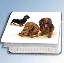 Retired Dog Breed DACHSHUND TRIO Vinyl Softcover Address Book picture