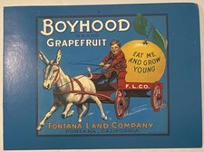 Vintage Postcard- Boyhood Brand Grapefruit, Fontana, CA, Orange-Crate Art book picture