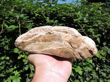 5.6LB TRAVERTINE ONYX AGATE Rough ROCK  w/ AMAZING PATTERNS & Botryoidal CAVES picture