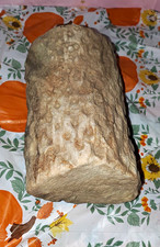 Petrified Wood Fossil Log Section Rough Specimen Section Fossil Specimen picture