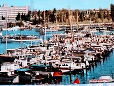 PHOTO POST CARD SEATTLE YACHT HARBOR SEATTLE  WA picture