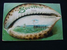 Seashell Souvenir Greeting Embossed Vintage Postcard picture