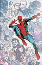 Ultimate Spider-Man #24 Marco Checchetto Virgin 1:100 Ratio Variant NM picture