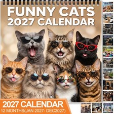 Cool Cats 2027 Wall Calendar, Funny Feline Moments, Cat Lover Gift 12 Months picture