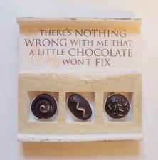 Nothing Wrong That Chocolate Won't Fix Refrigerator Magnet Novelty  picture