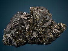 Enargite with Pyrite, Butte, Silver Bow County, Montana, ex. Harris, 1807-M93 picture