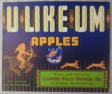 Vintage U-LIKE-UM Apple Crate Label from Cashmere Washington  w/ Native American picture