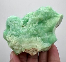 238 Gm Gorgeous Shape Rare Natural Top Color Aragonite Specimen ~Afghanistan picture