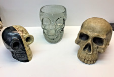 3 - Decorative Skulls. Halloween or however else you might need a skull for. VGC picture