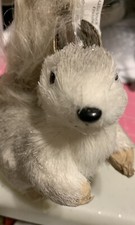 Squirrel Set picture
