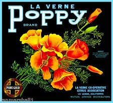La Verne Lordsburg California Poppy Orange Citrus Fruit Crate Label Art Print picture